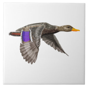 Azulejo De Cerâmica Pato de Mallard em voo