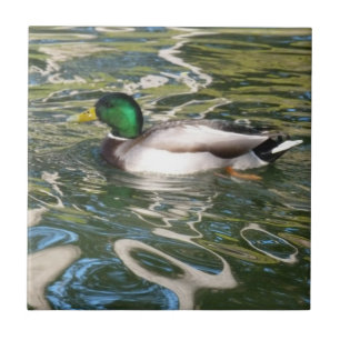 Azulejo De Cerâmica Pato do pato selvagem