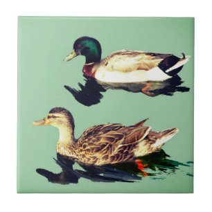 Azulejo De Cerâmica Patos
