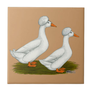 Azulejo De Cerâmica Patos Brancos Deitados