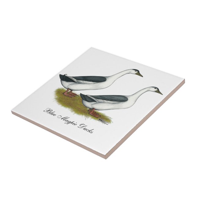 Azulejo De Cerâmica Patos: Magpias Azuis (Lateral)