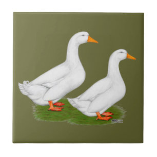 Azulejo De Cerâmica Patos: Pekins branco