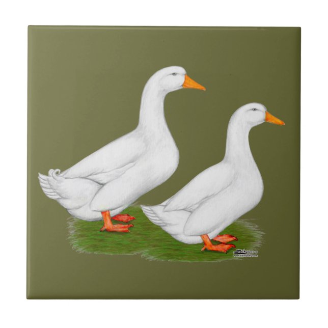 Azulejo De Cerâmica Patos:  Pekins branco (Frente)
