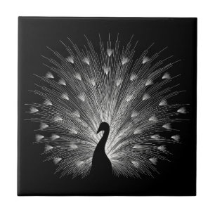 Azulejo De Cerâmica Pavão branco
