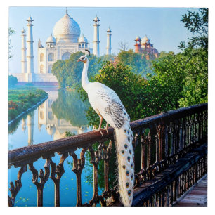 Azulejo De Cerâmica Pavão Branco com Vista para o Taj Mahal