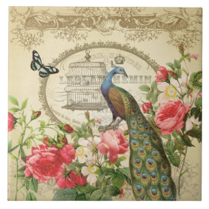 Azulejo De Cerâmica Pavão francês do chique do vintage