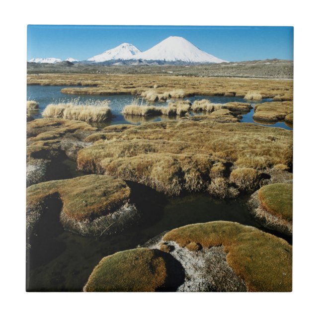 Azulejo De Cerâmica Payachalas Volcanos (Frente)