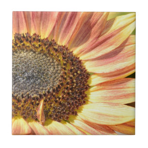 Azulejo De Cerâmica Peach Sunflower