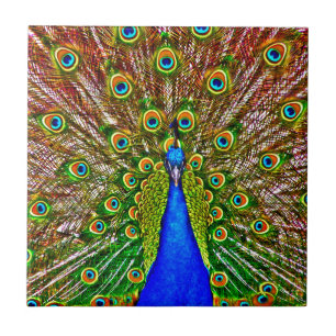 Azulejo De Cerâmica Peacock