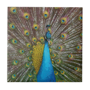 Azulejo De Cerâmica Peacock Art in Jewel Tone Colors