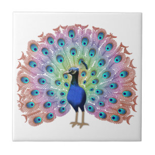 Azulejo De Cerâmica Peacock Colorido