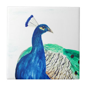 Azulejo De Cerâmica Peacock Pintado Aquarela Cozinha Rústica