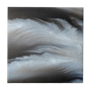 Azulejo De Cerâmica Pedra natural legal emplumada da ágata preta