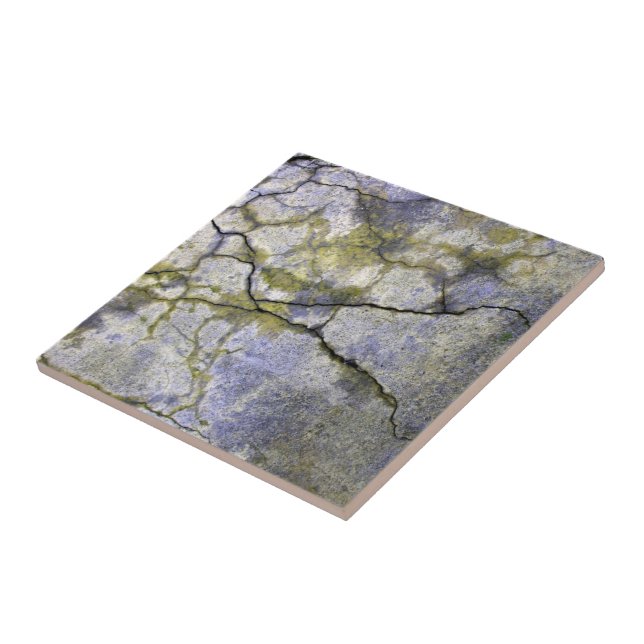 Azulejo De Cerâmica Pedra Rachada Natural com Textura de Liquen (Lateral)