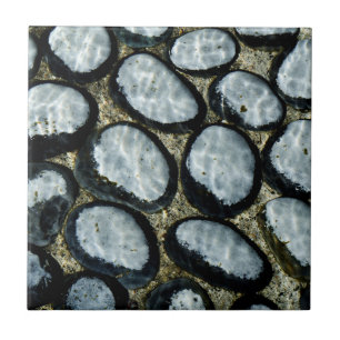 Azulejo De Cerâmica Pedras sob água