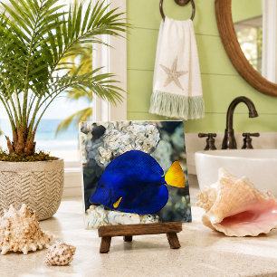 Azulejo De Cerâmica Peixe Borboleta Azul Recife de Coral Peixe do Ocea