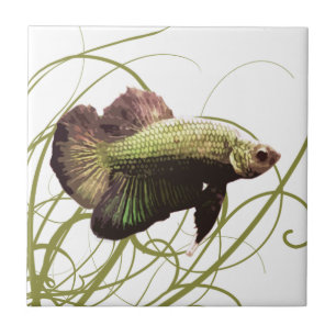 Azulejo De Cerâmica Peixe-de-luta-Siameses Dourado Betta