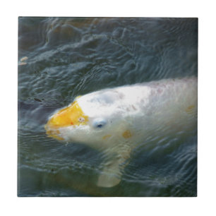 Azulejo De Cerâmica Peixe Goldfish No Lago