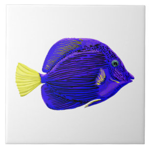 Azulejo De Cerâmica Peixe-marisco azul
