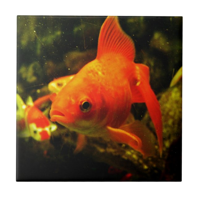 Azulejo De Cerâmica peixe ouro (Frente)