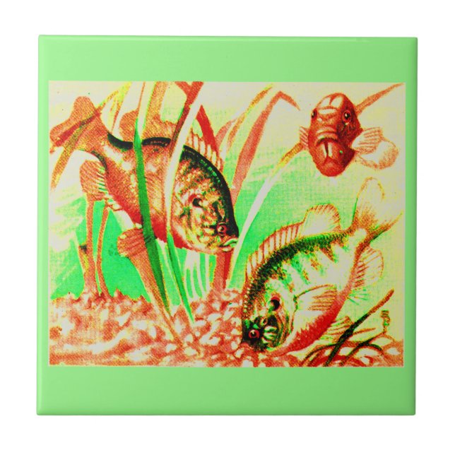 Azulejo De Cerâmica peixe-sol água fresca (Frente)