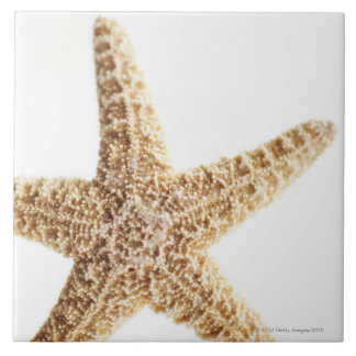 Azulejo De Cerâmica Peixes da estrela