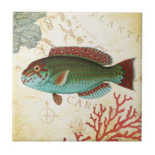 Azulejo De Cerâmica Peixes e coral das caraíbas coloridos tropicais