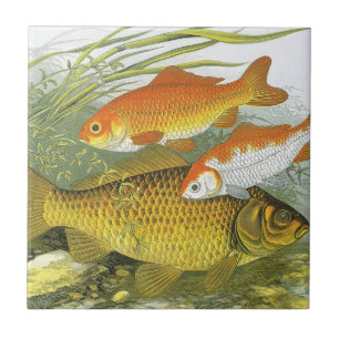 Azulejo De Cerâmica Peixes Koi Goldfish, Vida Marinha Aquática Antiga