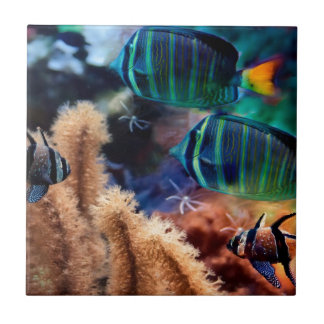 Azulejo De Cerâmica Peixes tropicais