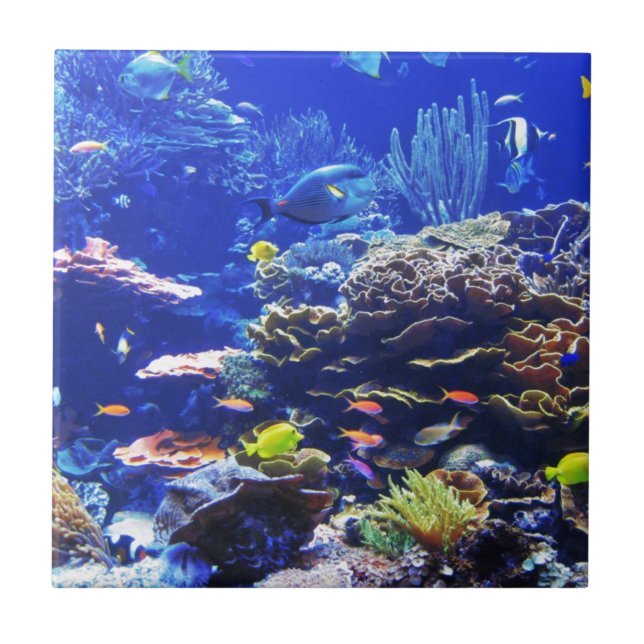 Azulejo De Cerâmica Peixes tropicais (Frente)