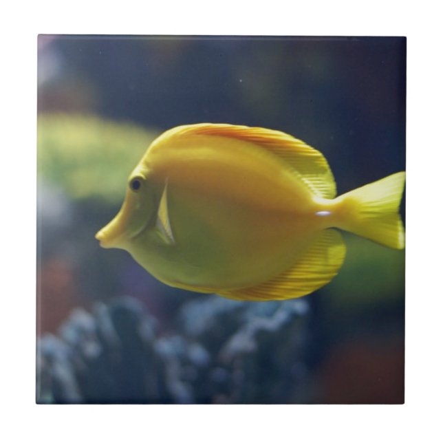 Azulejo De Cerâmica peixes tropicais (Frente)