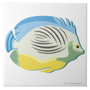 Azulejo De Cerâmica Peixes tropicais 2