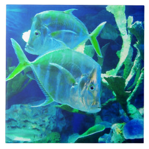 Azulejo De Cerâmica Peixes Tropicais, Azulejo Azul, Cerâmica