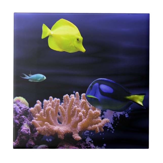 Azulejo De Cerâmica Peixes tropicais coloridos (Frente)