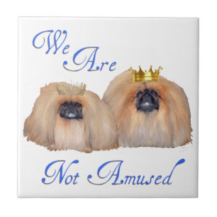 Azulejo De Cerâmica Pekingese Não É Amusado