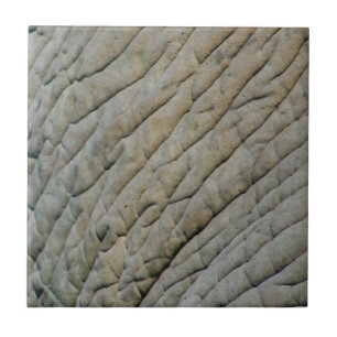 Azulejo De Cerâmica Pele De Elefante Personalizada Com Seu Nome