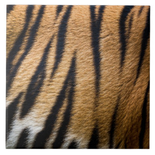 Azulejo De Cerâmica pele de tigre animal textura de pelo natureza list