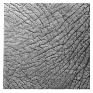 Azulejo De Cerâmica Pele elefante