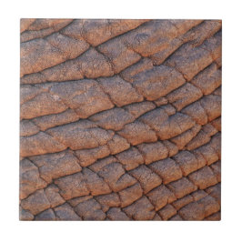 Azulejo De Cerâmica Pele Elefante