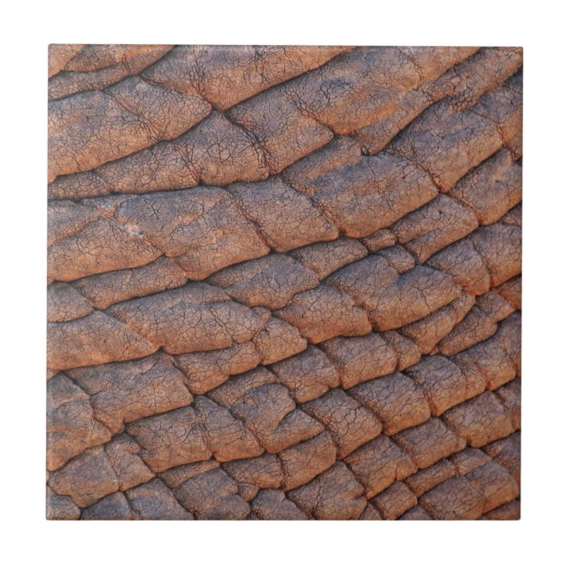 Azulejo De Cerâmica Pele Elefante (Frente)
