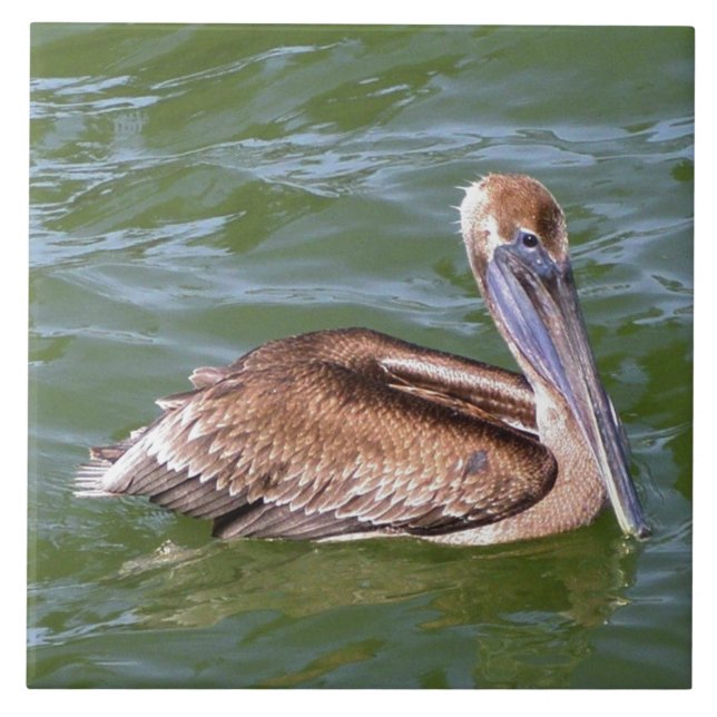 Azulejo De Cerâmica Pelican (Frente)