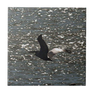 Azulejo De Cerâmica Pelican voando sobre o lago Shimmering Bafa