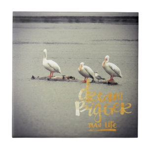 Azulejo De Cerâmica Pelicanos e Seagull Dream Bigger
