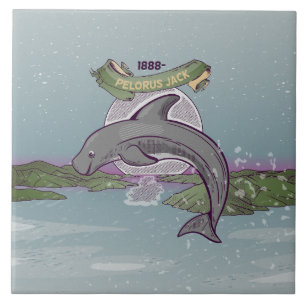 Azulejo De Cerâmica Pelorus Jack Dolphin Nova Zelândia