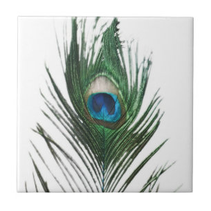 Azulejo De Cerâmica Pena desactivada Trivet do pavão