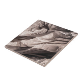 Azulejo De Cerâmica Penas