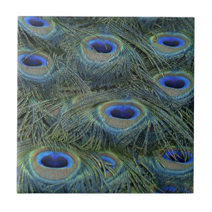Azulejo De Cerâmica Penas de Peacock