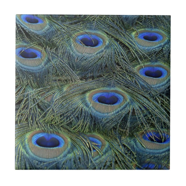 Azulejo De Cerâmica Penas de Peacock (Frente)