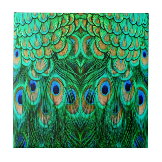 Azulejo De Cerâmica Penas de Peacock Gloriosas (Frente)