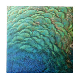 Azulejo De Cerâmica Penas de Peacock I Abstrato